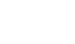 BVS logotyp