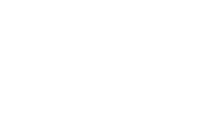 BVS logotyp